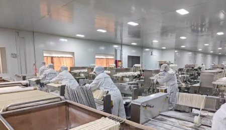 海科佳：把傳統手工技藝融入智能化裝備，一根高質量面條正在生成